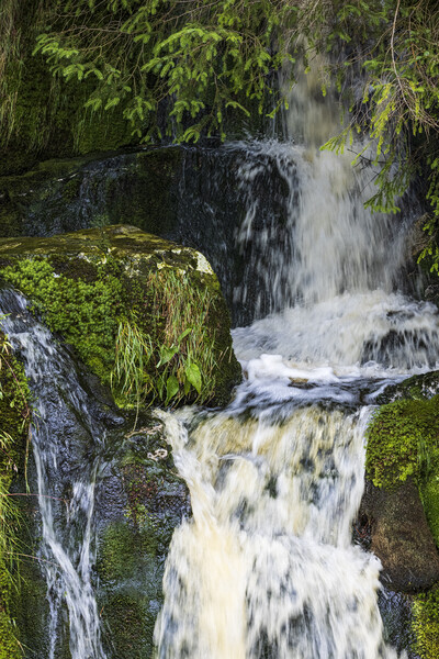 Waterfall Glenmalure Wicklow Ireland Picture Board by Phil Crean