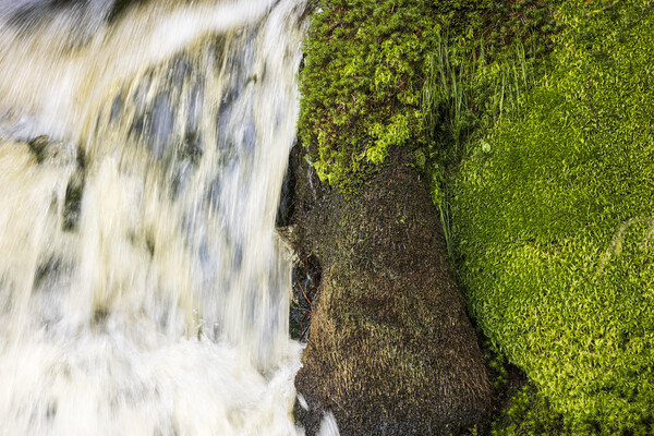 Waterfall moss abstract Ireland Picture Board by Phil Crean