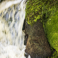 Buy canvas prints of Waterfall moss abstract Ireland by Phil Crean