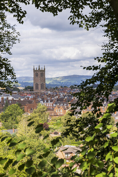 Saint Laurences church tower Ludlow Shropshire Picture Board by Phil Crean
