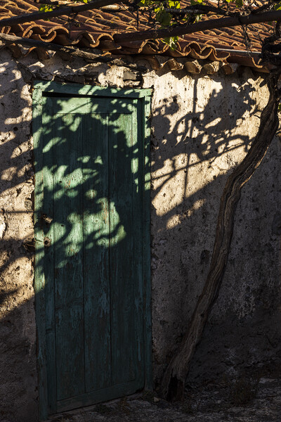 Vine shadow over rustic building Tenerife Picture Board by Phil Crean