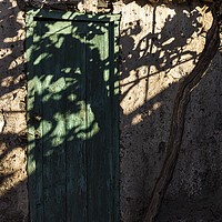 Buy canvas prints of Vine shadow over rustic building Tenerife by Phil Crean