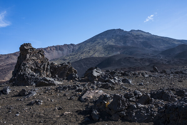 Teide national park, volcanic landscape Picture Board by Phil Crean