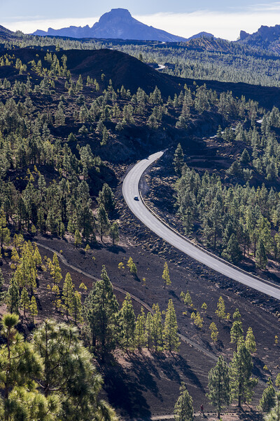 Road through Teide national park Tenerife Picture Board by Phil Crean