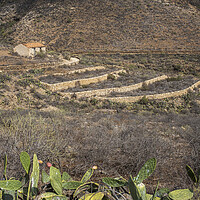 Buy canvas prints of Abandoned finca farmhouse Tenerife by Phil Crean