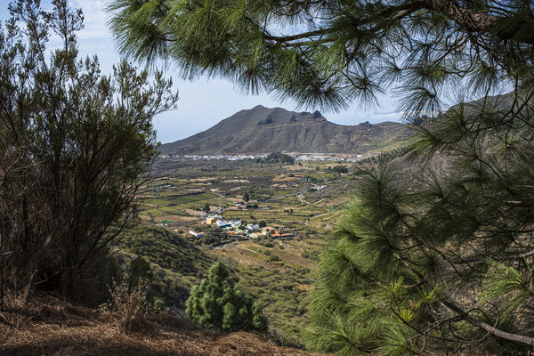 Santiago valley Tenerife Picture Board by Phil Crean