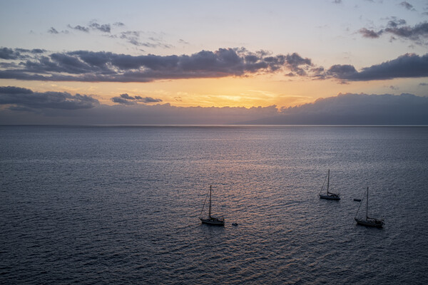 Boats at dusk Tenerife Picture Board by Phil Crean