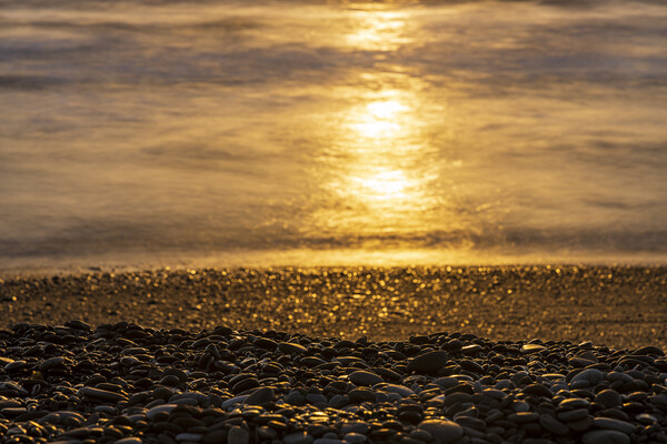 Golden sunlight on sea and pebble beach Picture Board by Phil Crean