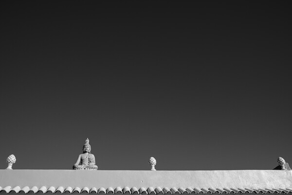 Buddha figure on roof Picture Board by Phil Crean