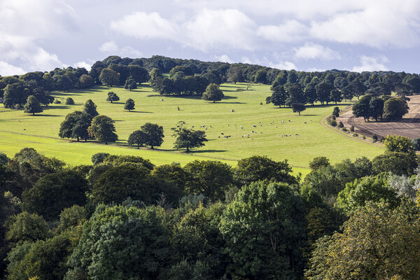 Yorkshire countryside Picture Board by Phil Crean