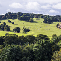 Buy canvas prints of Yorkshire countryside by Phil Crean