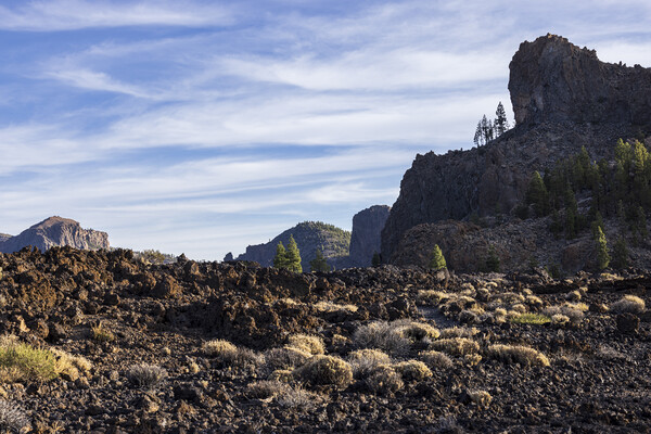 Teide National Park Tenerife Picture Board by Phil Crean