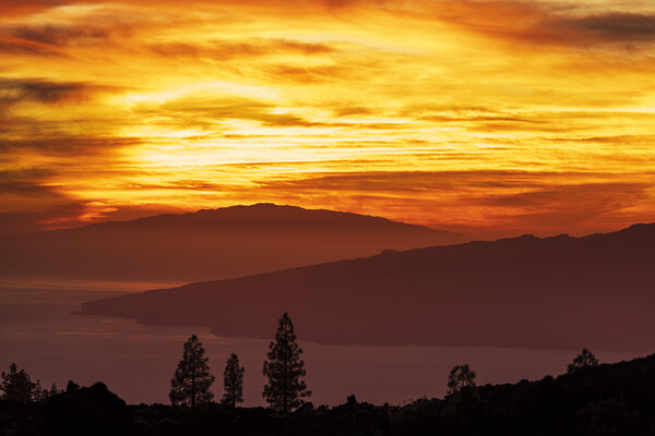 Fiery red sunset Tenerife Picture Board by Phil Crean
