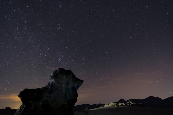 Night sky Tenerife Picture Board by Phil Crean