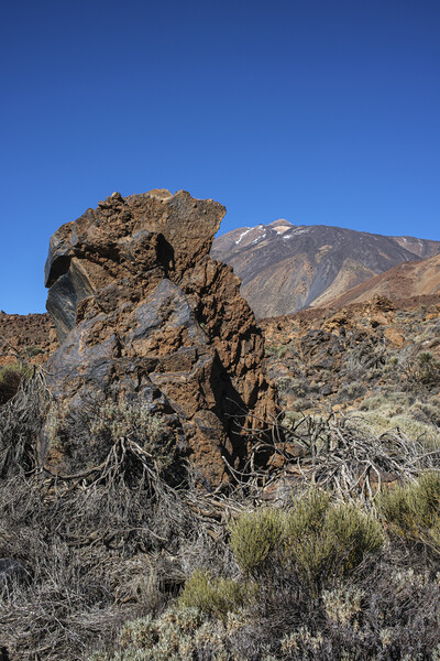 Mount Teide Tenerife Picture Board by Phil Crean