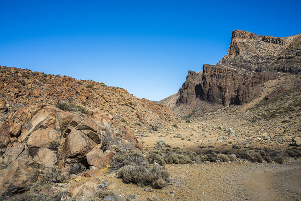 Teide national park Tenerife Picture Board by Phil Crean