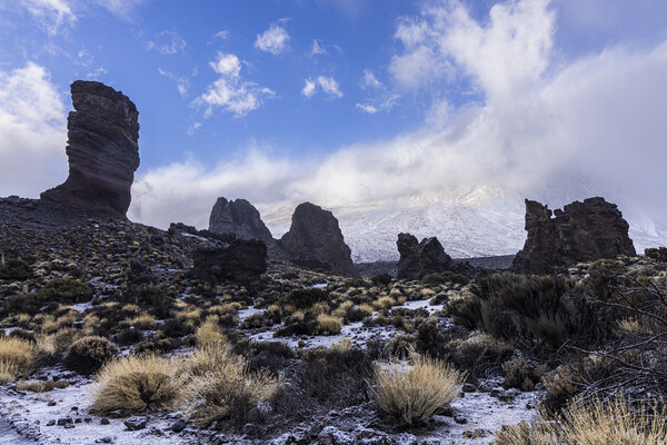 Winter on Mount Teide Tenerife Picture Board by Phil Crean