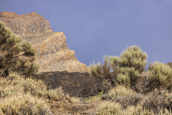 Mount Teide National Park Tenerife Picture Board by Phil Crean