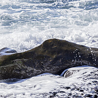 Buy canvas prints of Rocky seascape Tenerife by Phil Crean