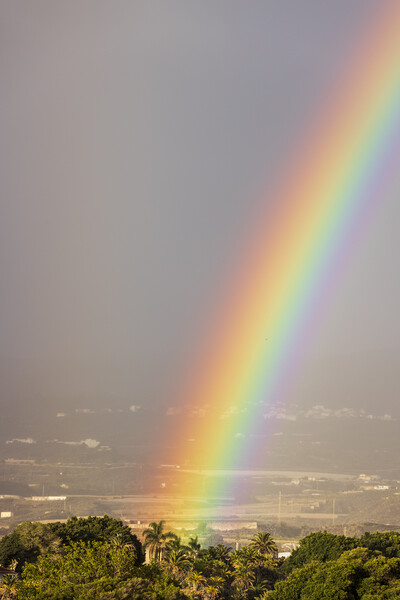 Vivid rainbow  Picture Board by Phil Crean