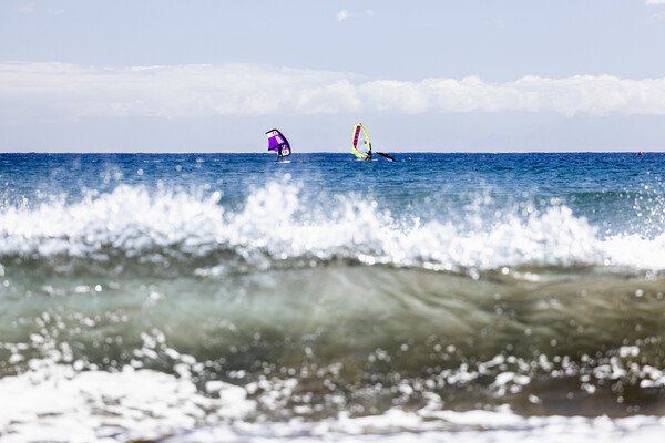 Windsurfers windsurfing on blue seas at El Medano Tenerife Picture Board by Phil Crean