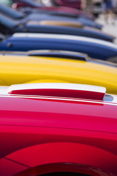 Abstract colourful car bonnets Picture Board by Phil Crean