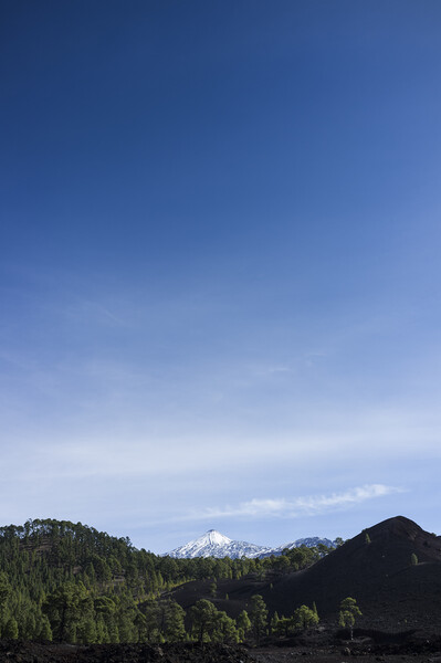 Snowcapped mount Teide Tenerife Picture Board by Phil Crean