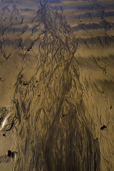 Abstract marks in the sand Picture Board by Phil Crean