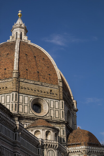 Duomo, of the cathedral of Santa Maria del Fiore in Florence,  Picture Board by Phil Crean