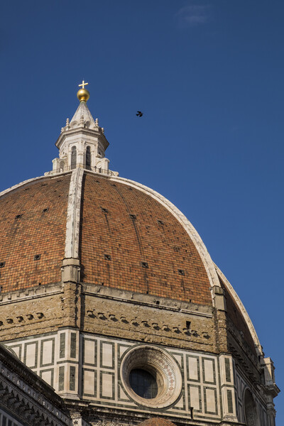 Florence Cathedral Duomo Picture Board by Phil Crean