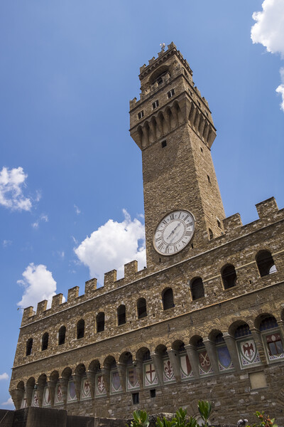 Palazzo Vecchio tower Florence Picture Board by Phil Crean