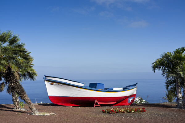 Boat at lookout, Puerto Santiago, Tenerife Picture Board by Phil Crean