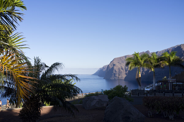 Los Gigantes cliffs and palm trees Tenerife Picture Board by Phil Crean
