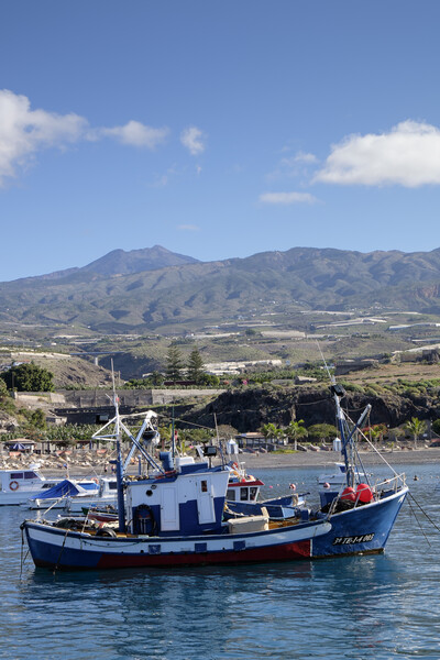Fishing boat in Playa San Juan Tenerife Picture Board by Phil Crean