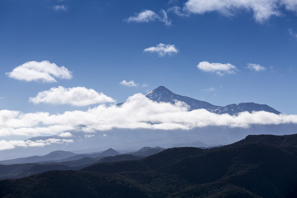 Mount Teide clouds Picture Board by Phil Crean