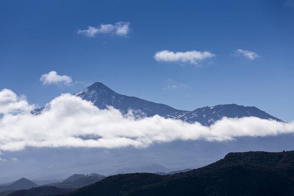 Mount Teide and clouds Tenerife Picture Board by Phil Crean