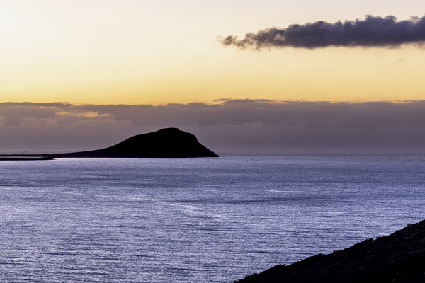 Dawn at Montaña Roja Tenerife Picture Board by Phil Crean
