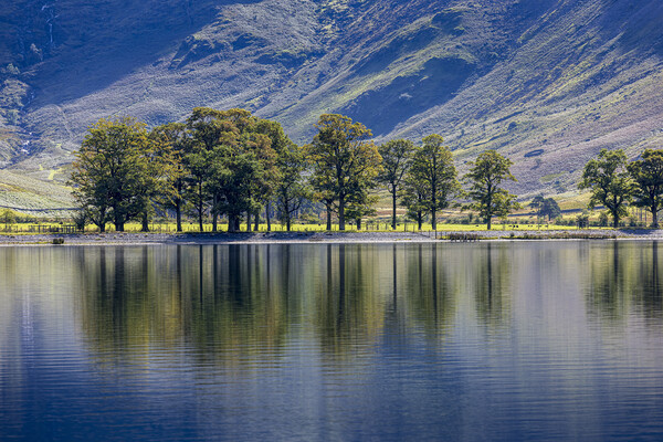 Buttermere lake reflection, UK Picture Board by Phil Crean