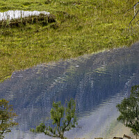 Buy canvas prints of Buttermere abstract lake reflection  by Phil Crean