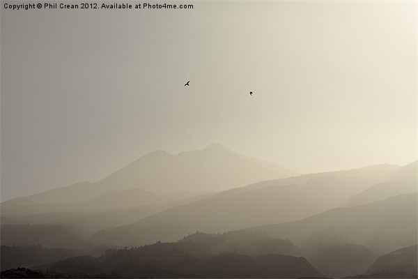 Misty morning birds and Teide, Tenerife Picture Board by Phil Crean