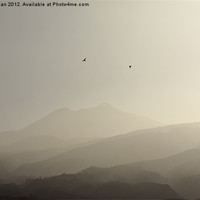 Buy canvas prints of Misty morning birds and Teide, Tenerife by Phil Crean