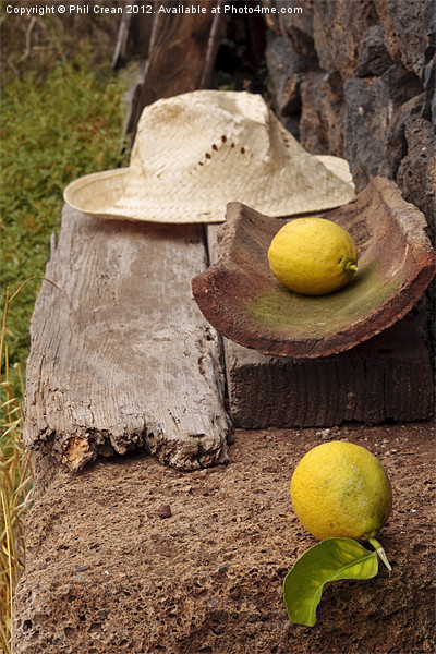 Lemons and straw hat found still life Picture Board by Phil Crean