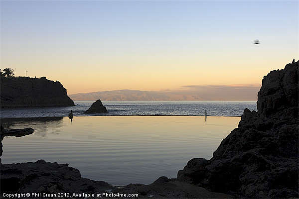Rock pool at dawn, Crab Island, Tenerife Picture Board by Phil Crean