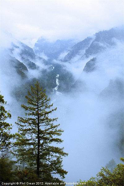 Yosemite rain clearing Picture Board by Phil Crean