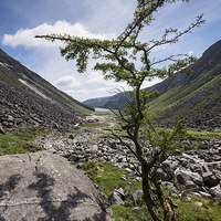 Buy canvas prints of Glendalough valley and tree, Ireland by Phil Crean