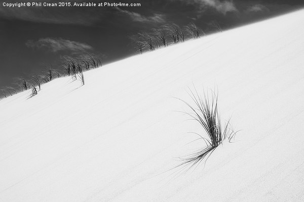  Sand dune and grass II Picture Board by Phil Crean