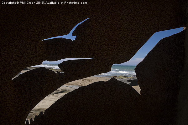 Gannet  reverse silhouette cut out, Cape Kidnapper Picture Board by Phil Crean