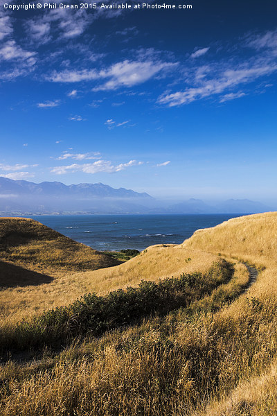 Kaikoura peninsula in evening light, New Zealand. Picture Board by Phil Crean