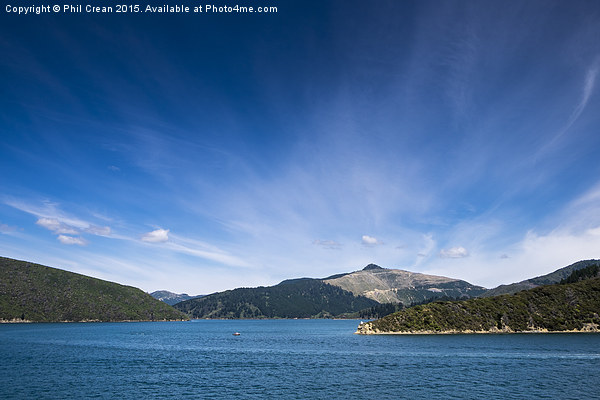  Queen Charlotte sound, New Zealand. Picture Board by Phil Crean