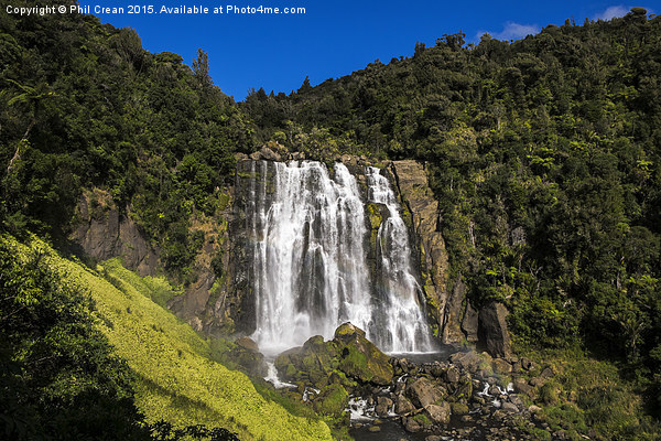  Marokopa falls waterfall, New Zealand. Picture Board by Phil Crean